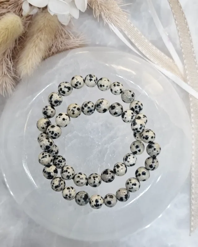 Dalmatian Jasper Bracelet | 8mm