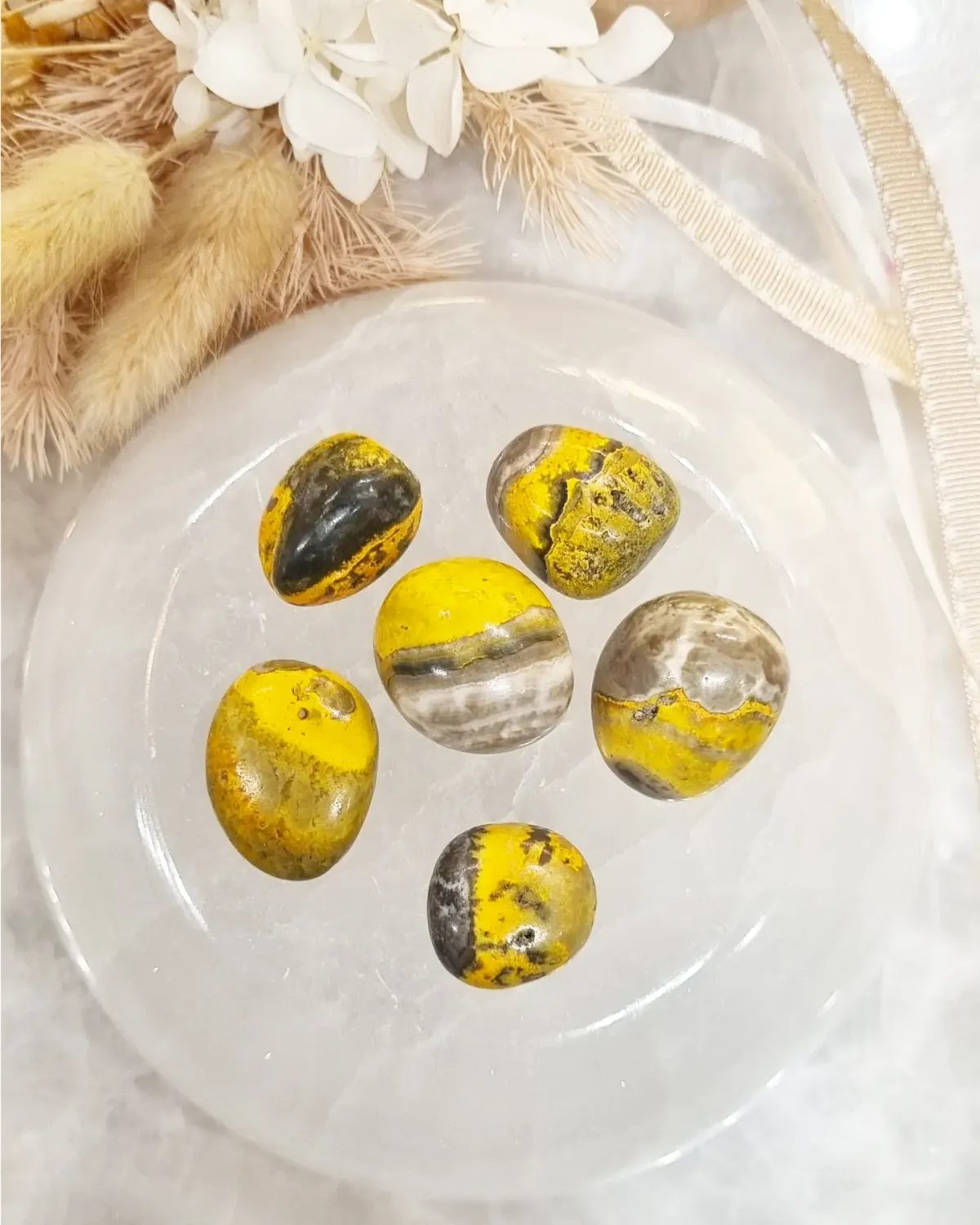 BumbleBee Jasper Tumble