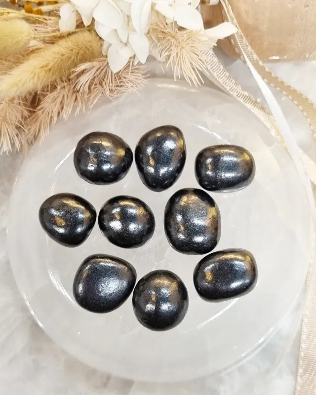 Shungite Tumble