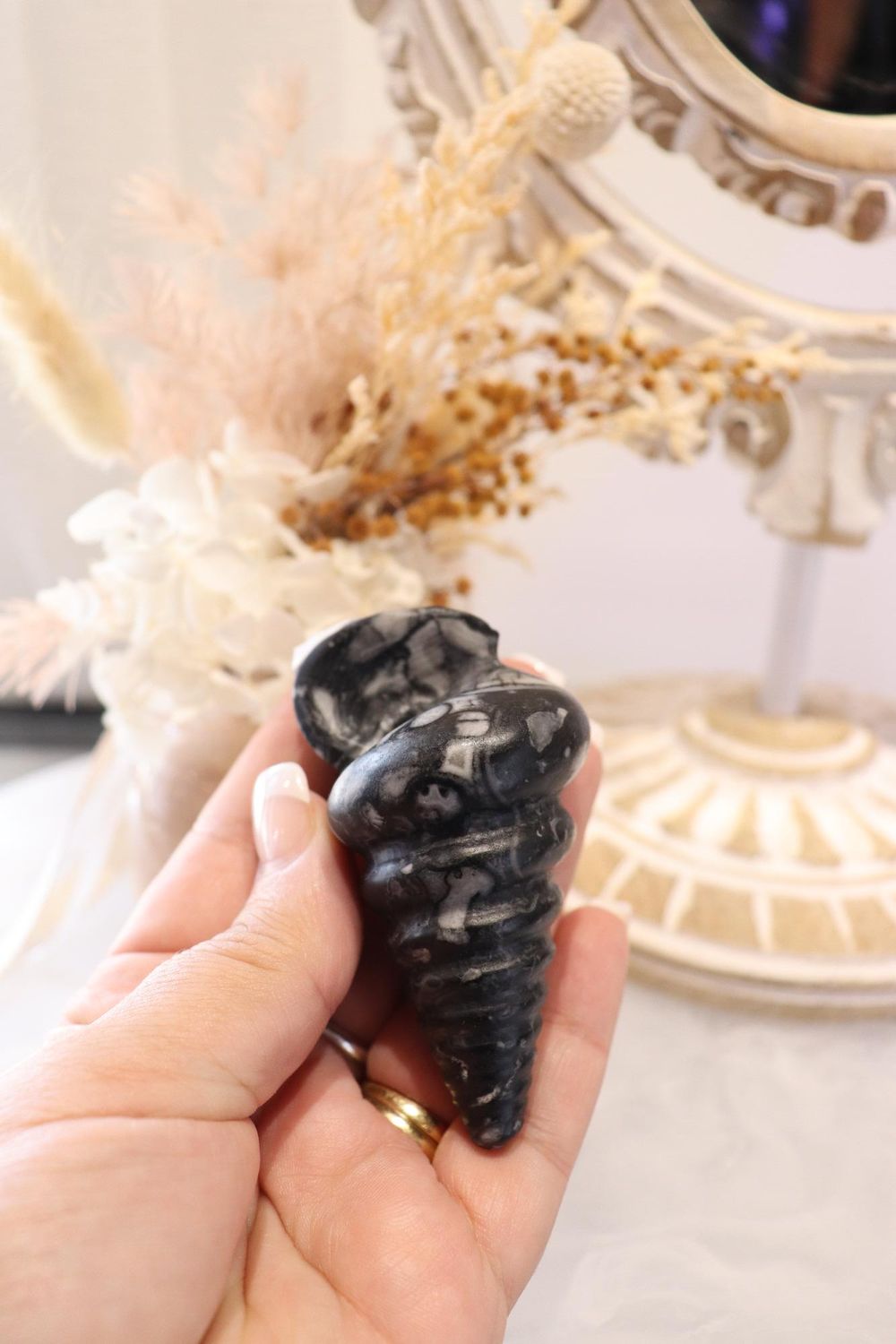 Orthoceras Fossil | Shell Carving
