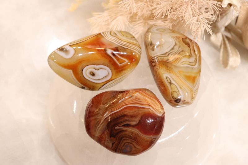 Sardonyx Palms