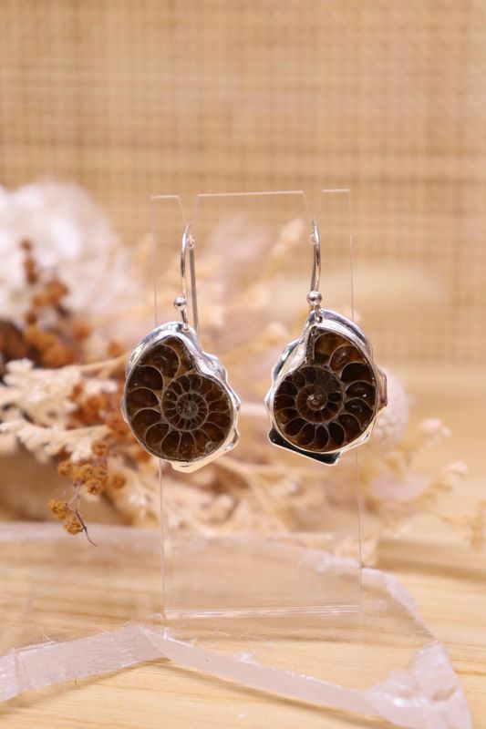 Ammonite Earrings | Hook Dangle