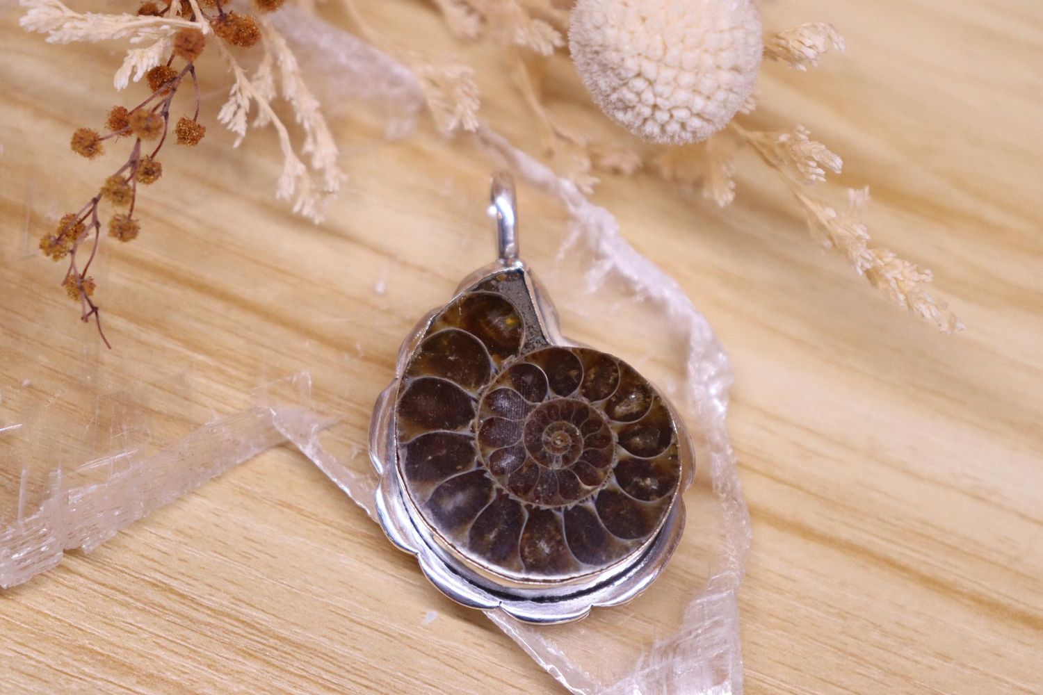 Ammonite Shaped Pendant