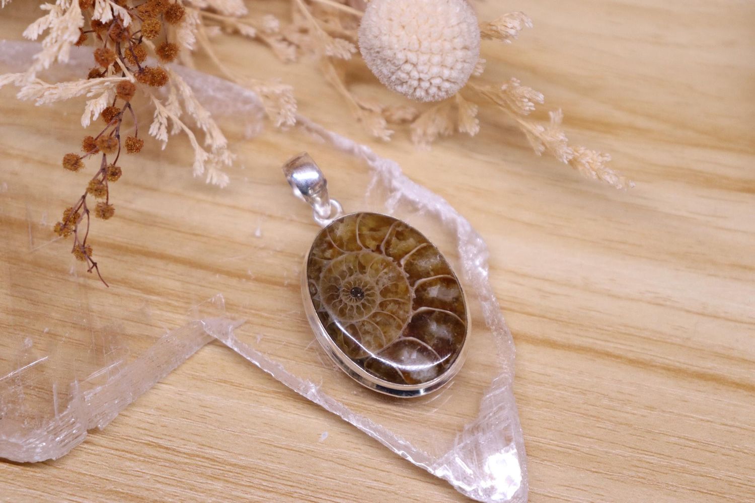 Ammonite Oval Pendant