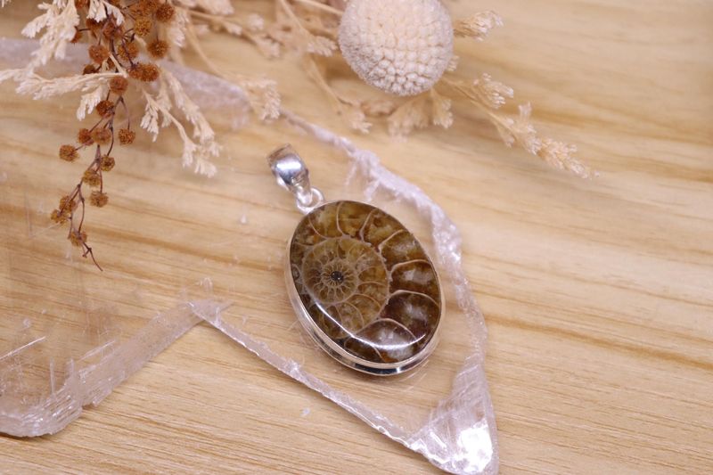 Ammonite Oval Pendant