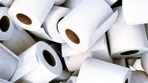 Papier toilette