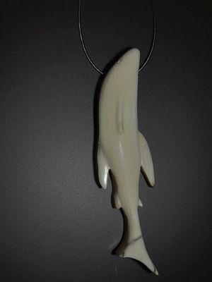 Mammut Elfenbein Hai