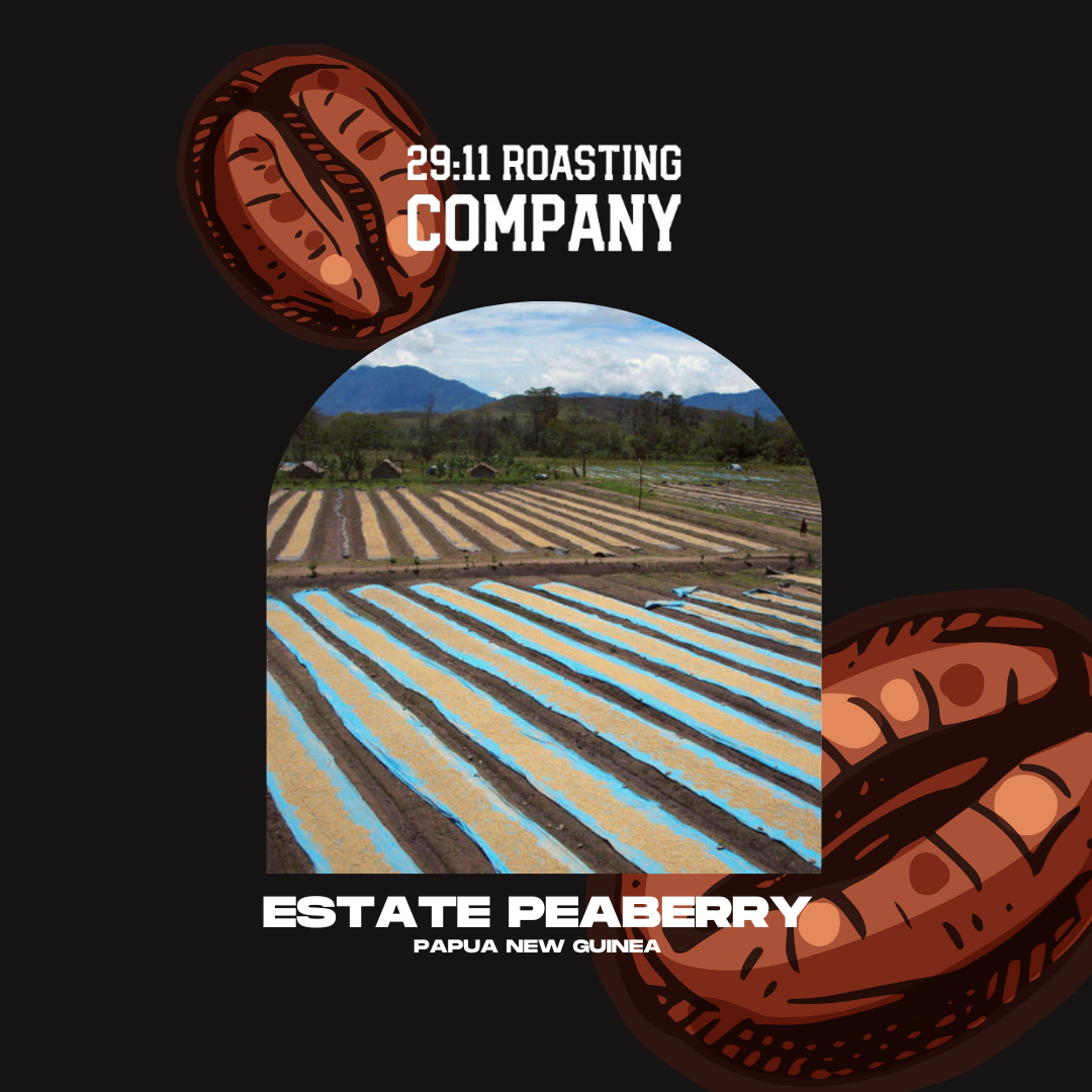29:11 Papua New Guinea Estate Peaberry Roast