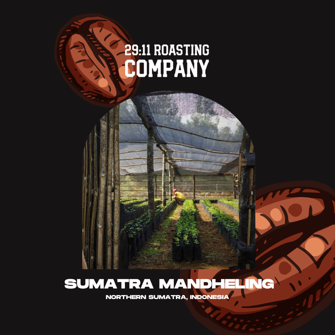 29:11 Sumatra Mandheling Roast