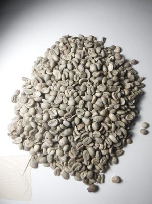 CAFE VERDE - Saco con 50kg OFERTA...