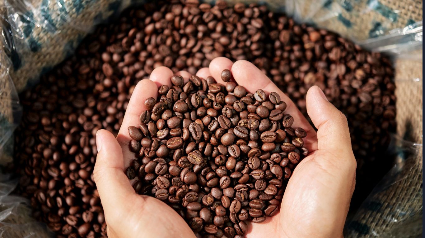 ☕ Café Huasteco Dalmin