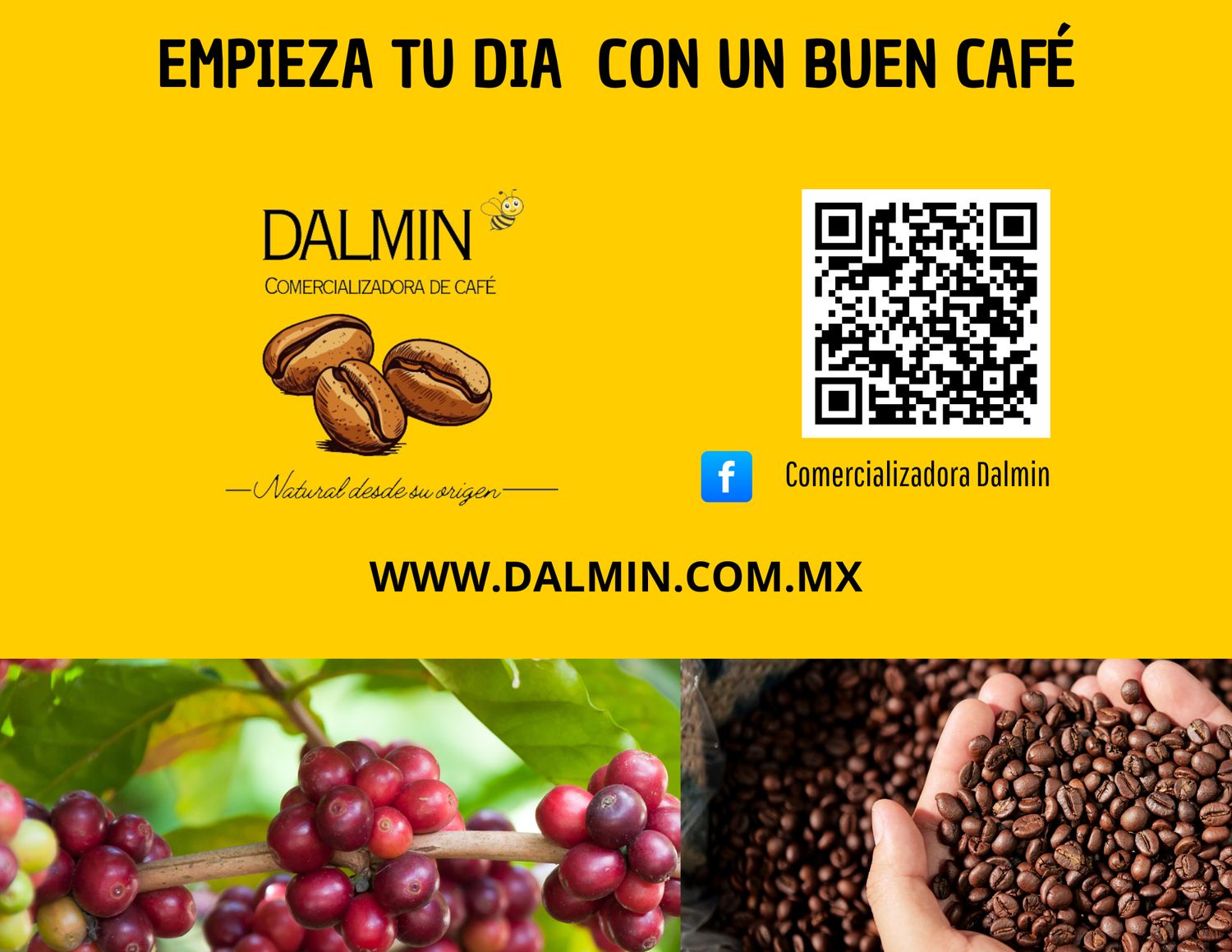 ☕ Café Huasteco Dalmin