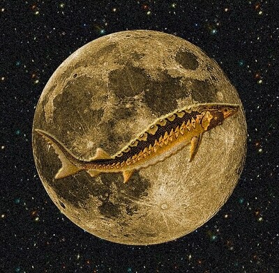 August Full Moon