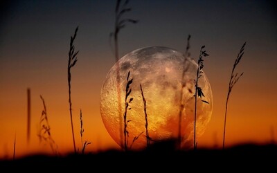 Harvest Moon Autumn Equinox