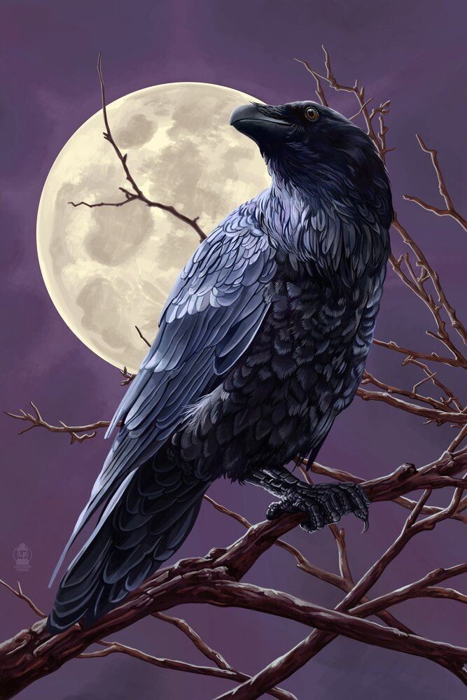 Spring Equinox Brings Crow