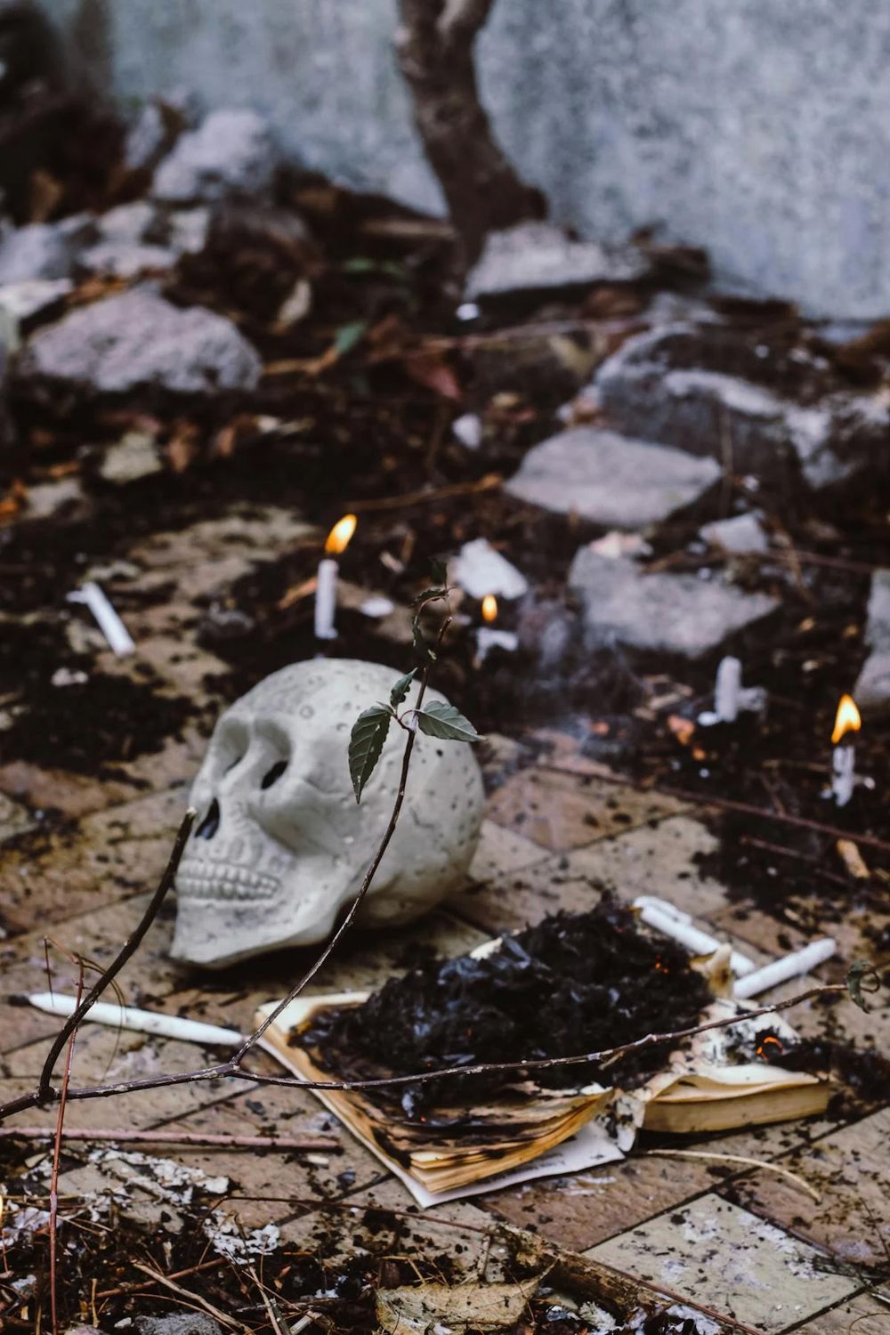Hex &amp; Bad Karma