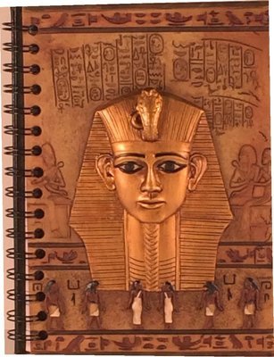 King Tut Journal, $329