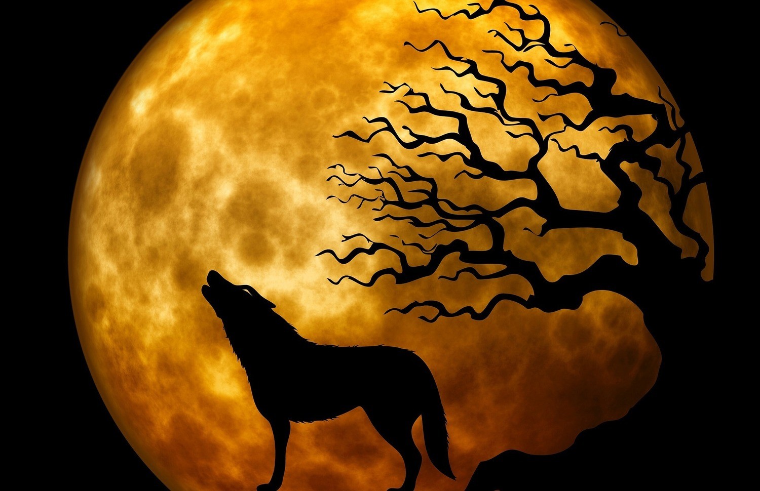 Wolf Moon Spell Casting $49