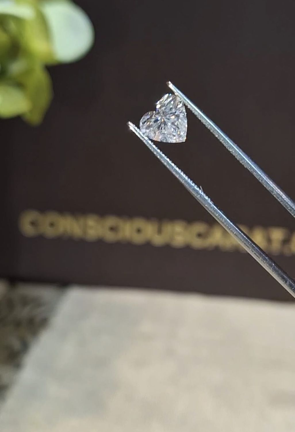 1ct Heart Cut (D-E-F)