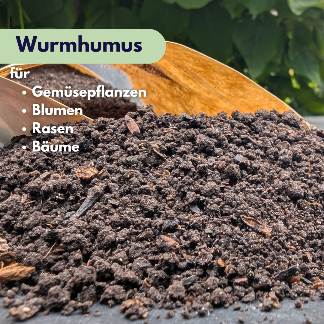 Wurmhumus Wurmhumus