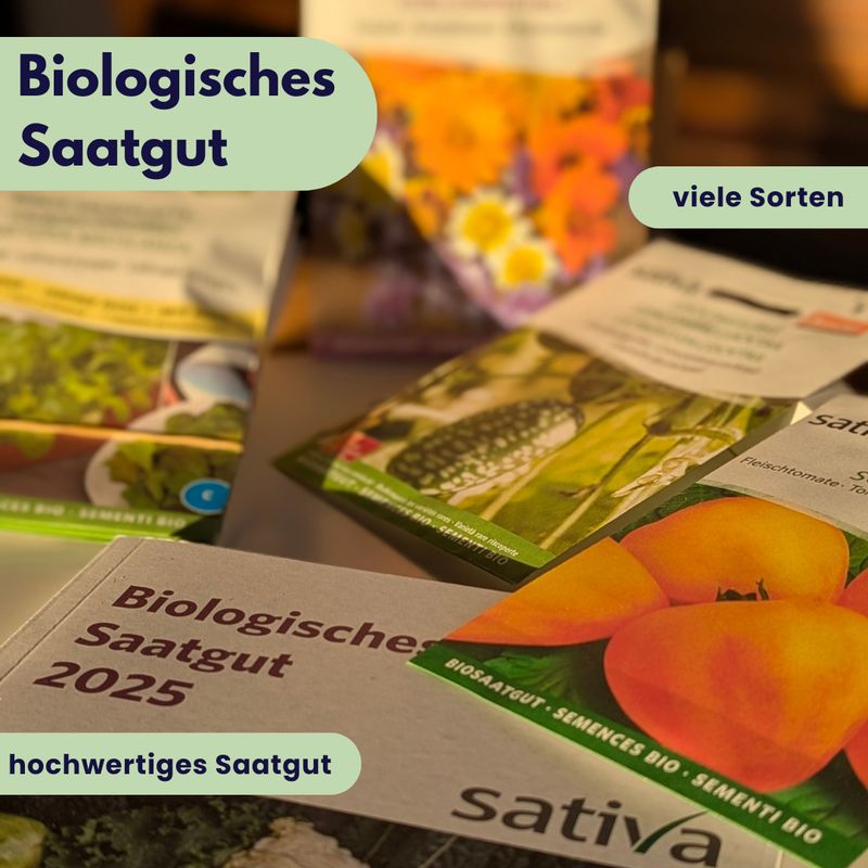 Biologisches Saatgut | Tomaten | Salate | Gurken | Aubergine | Basilkum