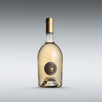 2024 - Le Saltre Blanc