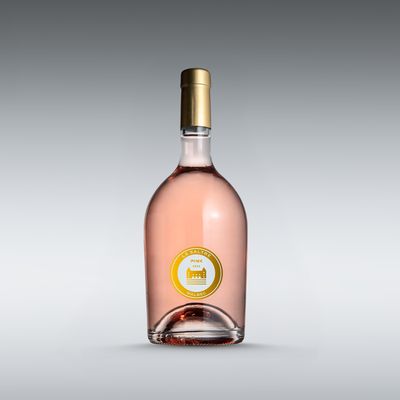 2024 - Le Saltre Pink