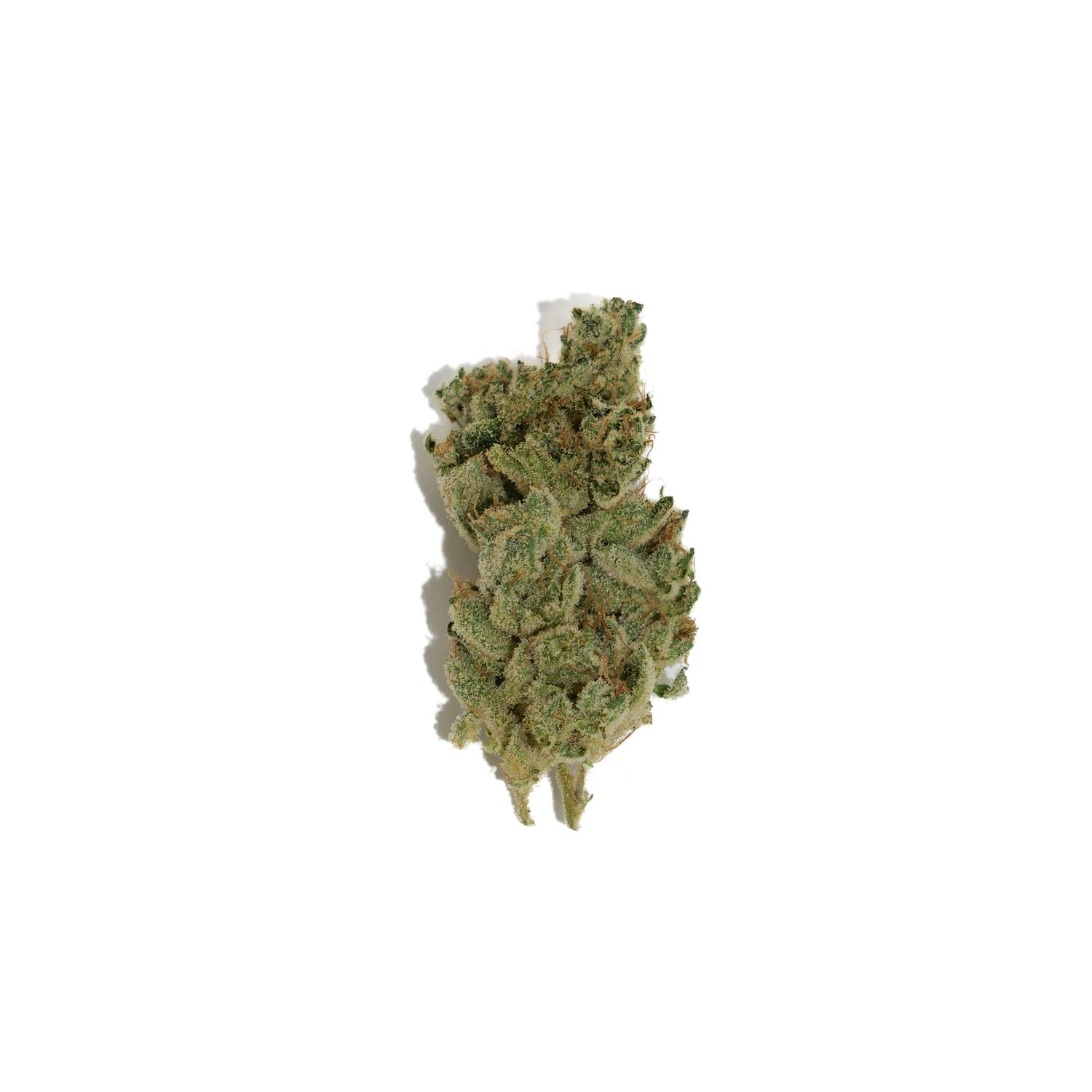 CBX Super Mango Haze