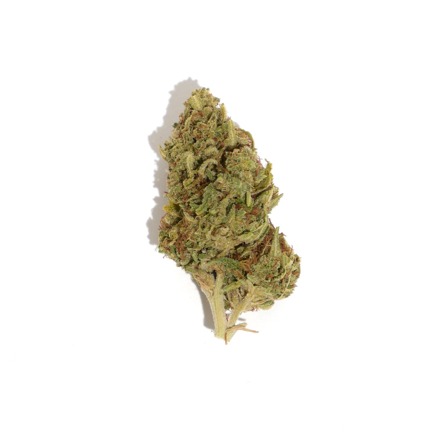 Sour Cherry Kush