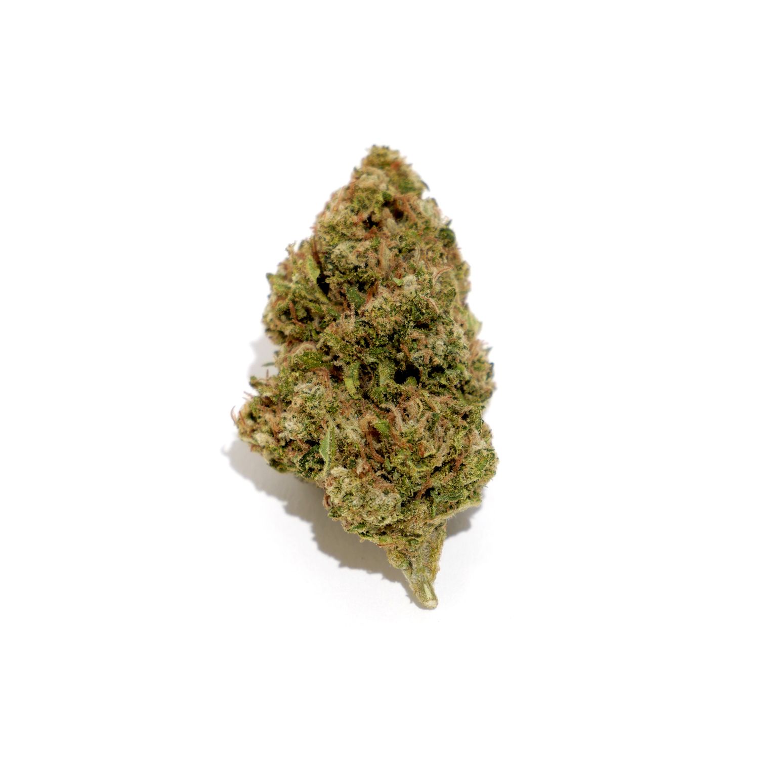 Afghan Jack
