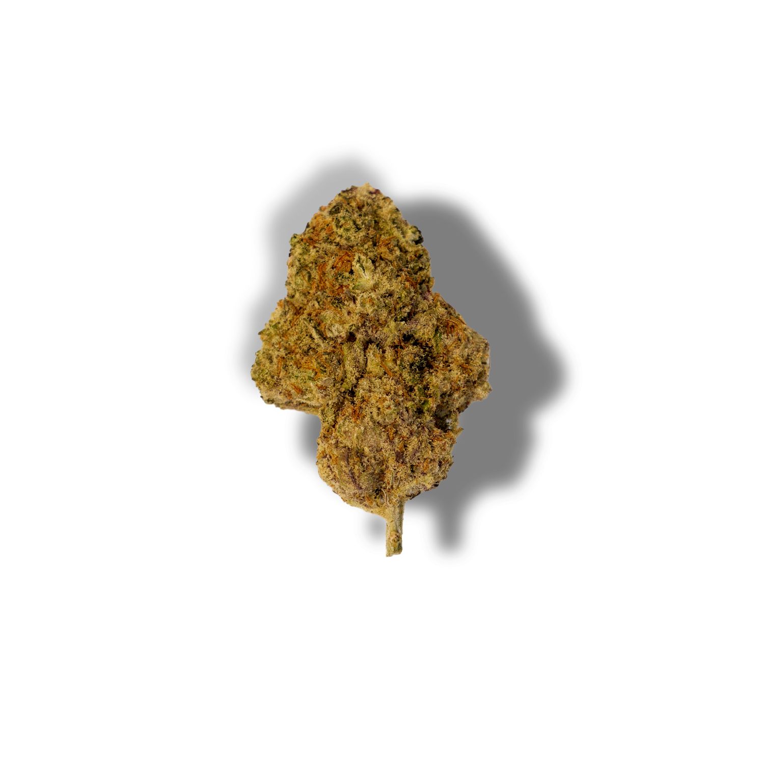 Motorbreth