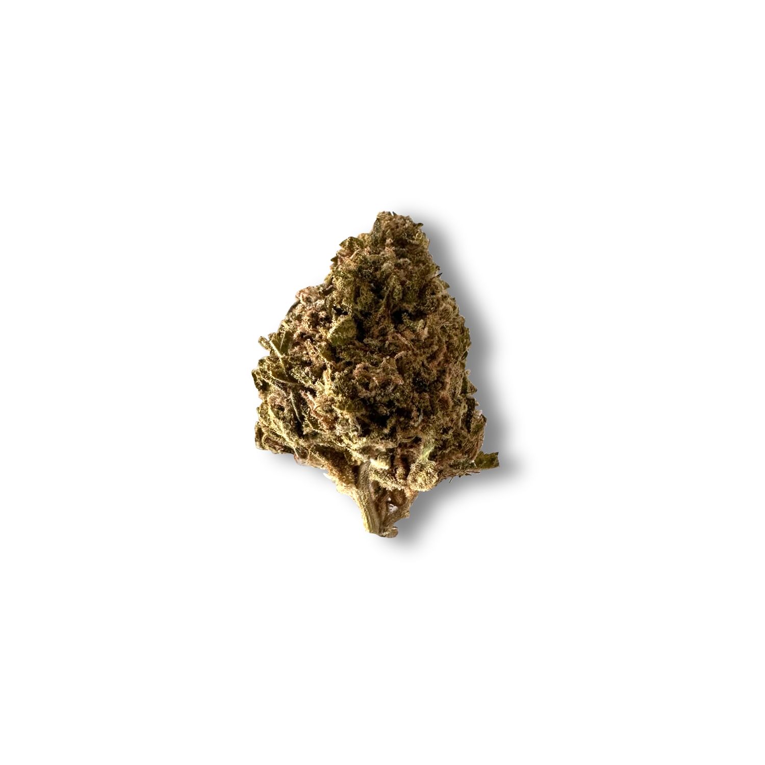 Little Red Riding Hood