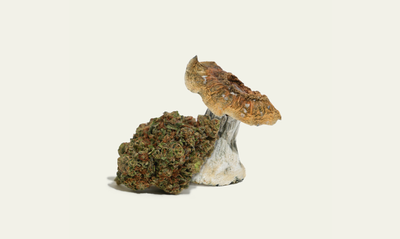 Featured Deals