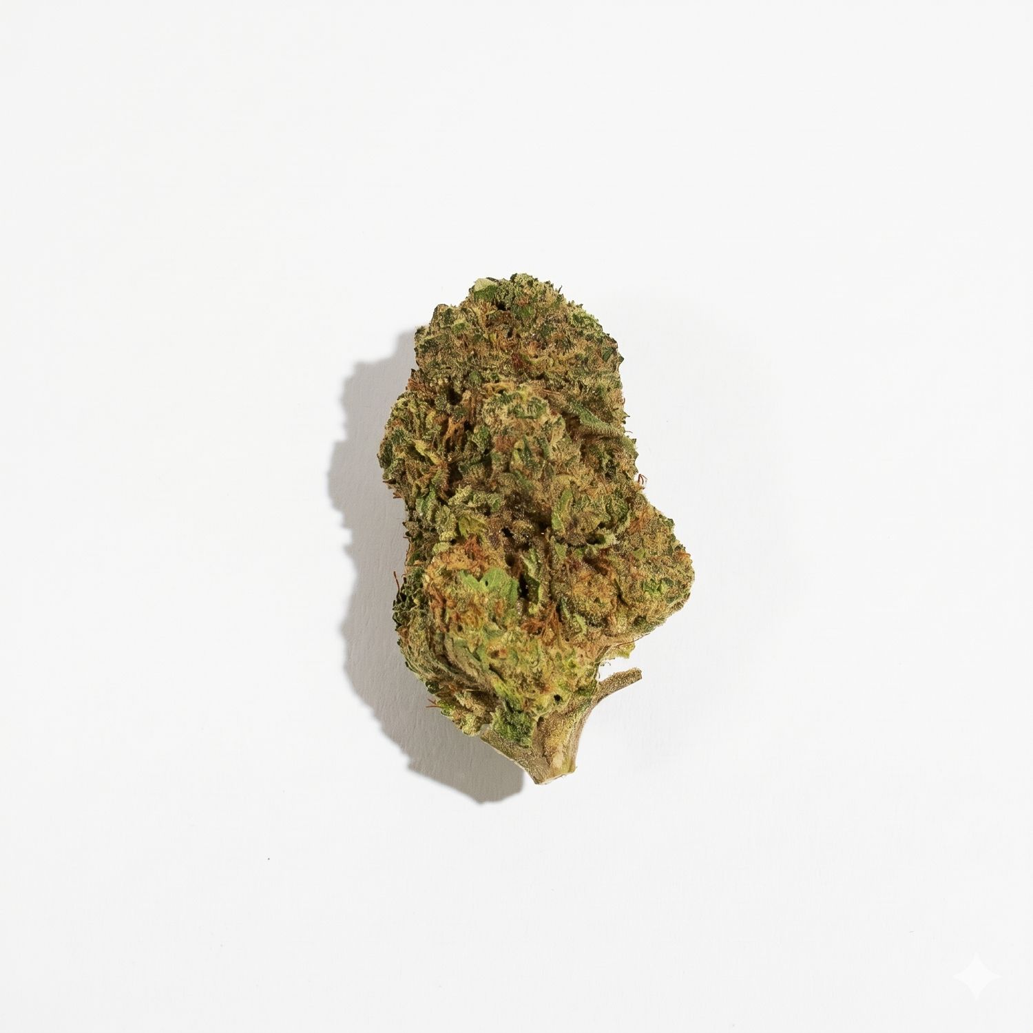 Grease Monkey
