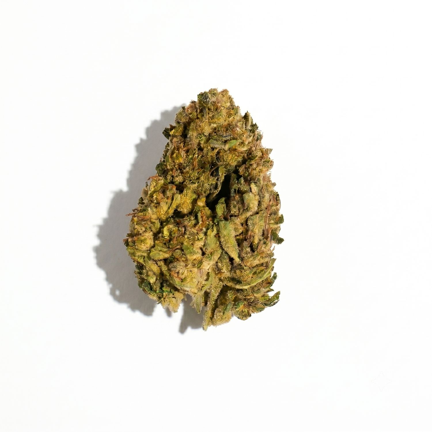 Blueberry haze