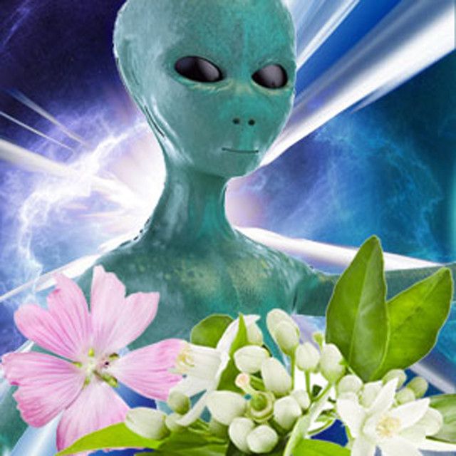 Alien Princess Hydrasilk Scoop