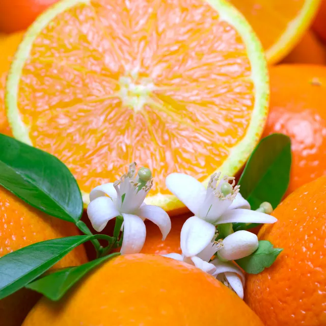Calypso Sun Fragrance Bar