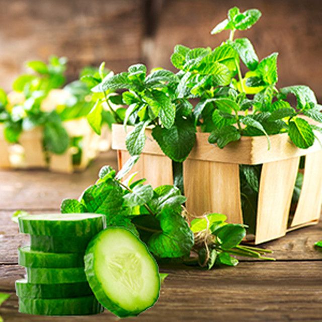 Cucumber Mint Body Butter