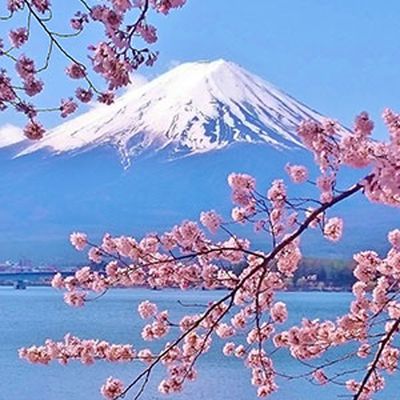 Japanese Cherry Blossom Body Spray