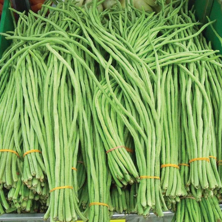 Yard Long bean seeds - Non-GMO ORGANIC and FRESH