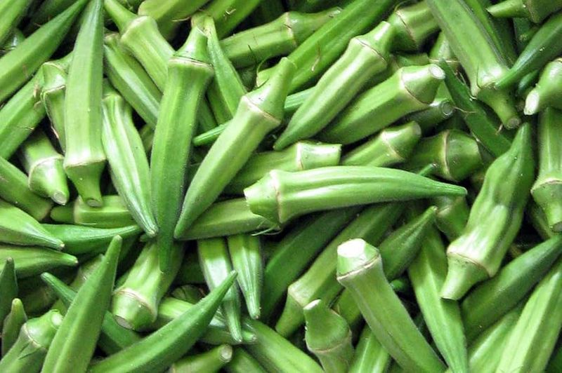 Light Green Okra seeds -  ORGANIC and FRESH