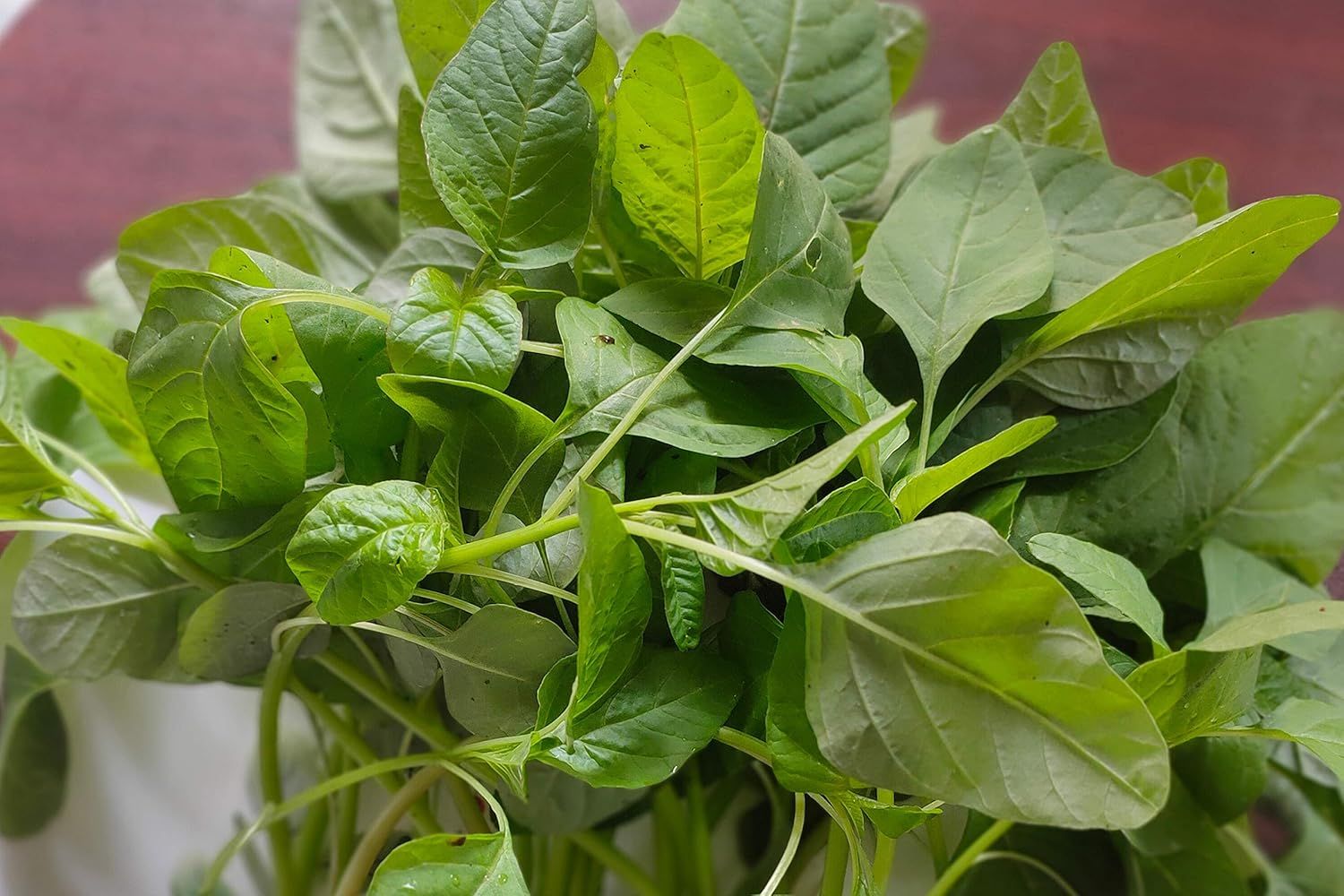 Indian light green amaranth seeds - Non-GMO ORGANIC and FRESH