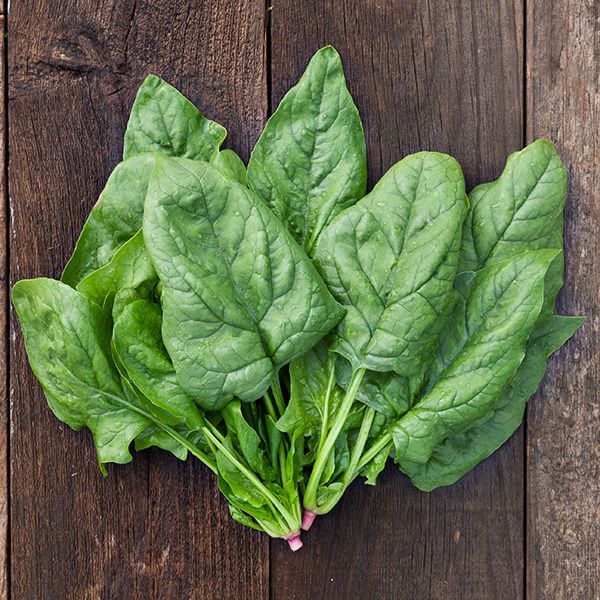 Giant Spinach seeds - Non-GMO ORGANIC and FRESH