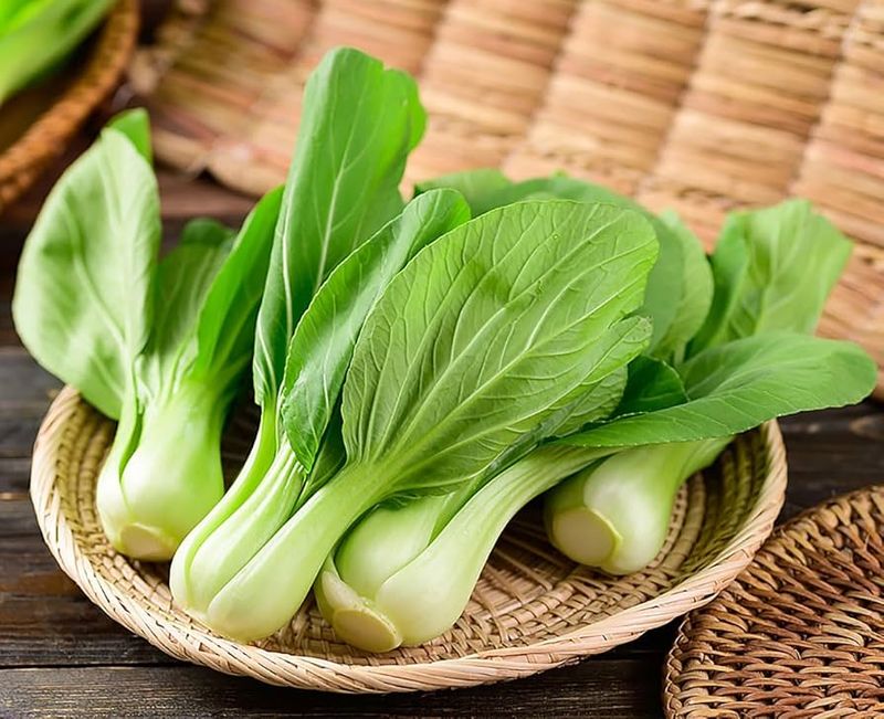 Baby Bok Choy seeds - Non-GMO and FRESH