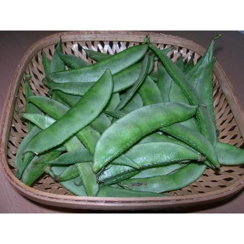 Indian Broad bean or Hyacinth bean or Avarakkai seeds ORGANIC and FRESH