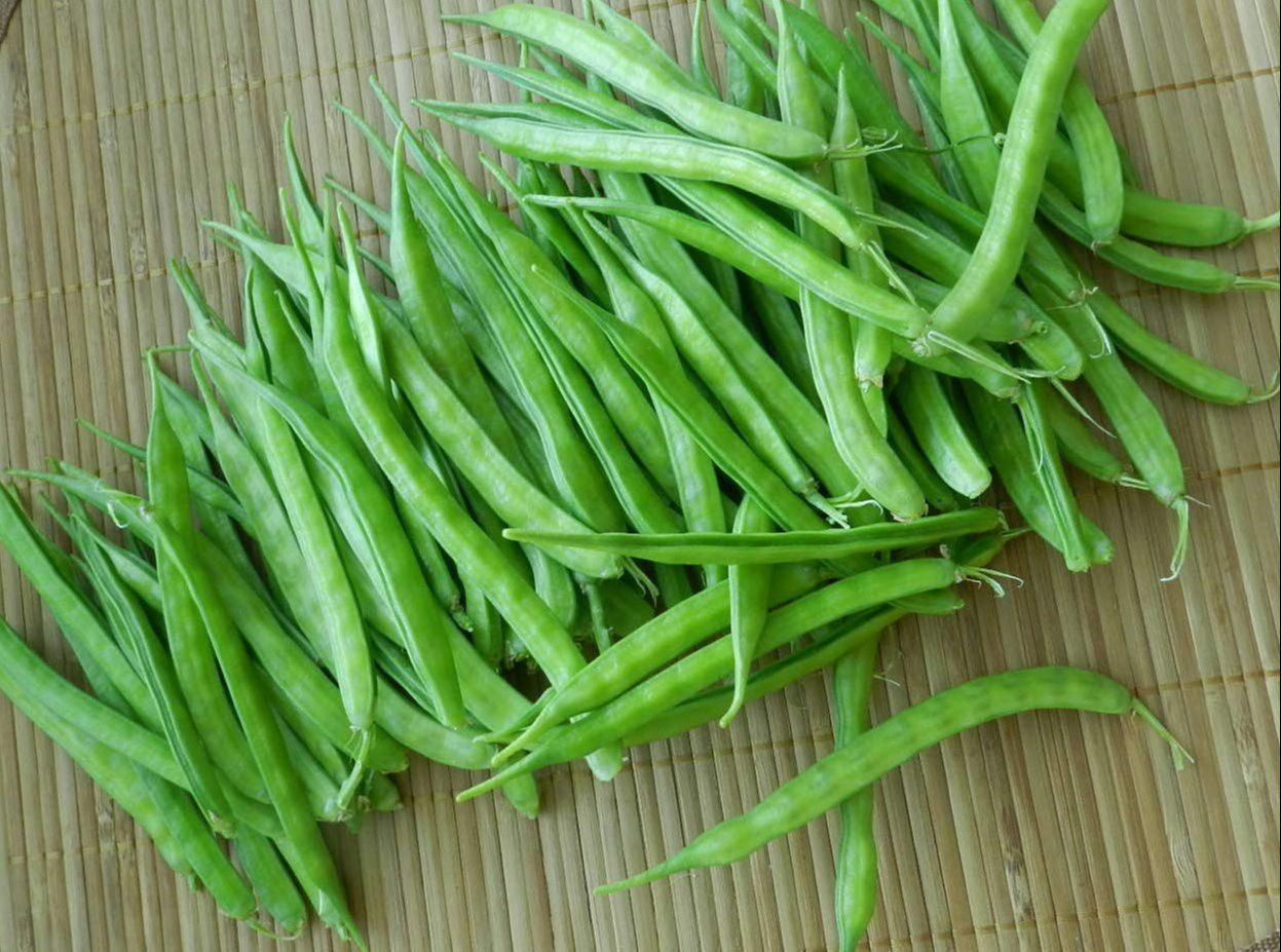 Cluster Beans/Kothavaranga/Goruchikkudu Kaya/Gwar Phali  seeds, Organic and Fresh