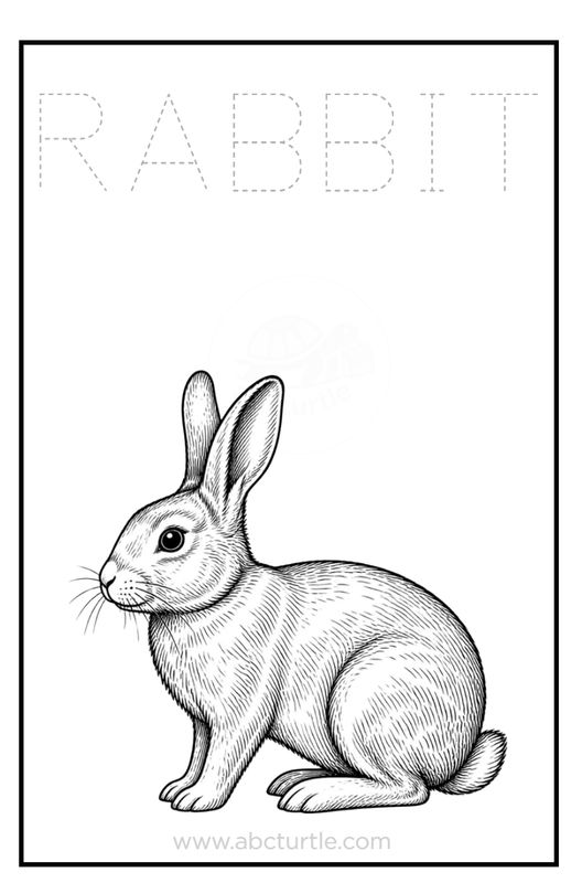 Tracing &amp; Coloring - ANIMALS - Pets, Farm, Wild, Forest, And Pong/Garden Animals