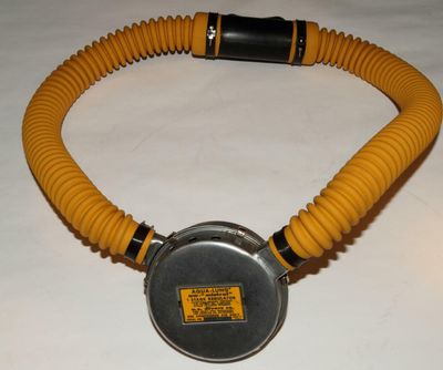 Mistral Ready To Dive