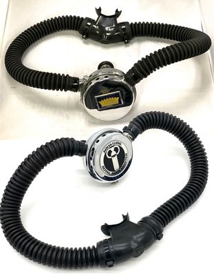 Royal Aqua Master Ready To Dive