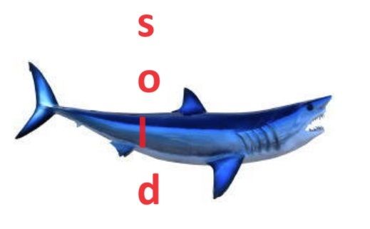 Mako Shark 50 Inch Mount King Sailfish